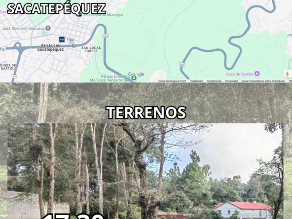 WhatsApp Image 2025-02-02 at 9.16.05 PM