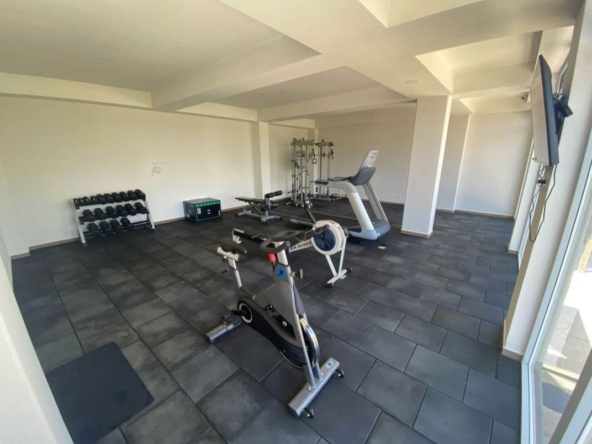 WhatsApp Image 2025-08-21 at 3.05.13 PM (1)