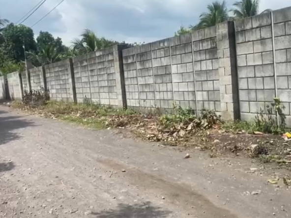 WhatsApp Image 2025-09-03 at 7.32.34 AM (3)